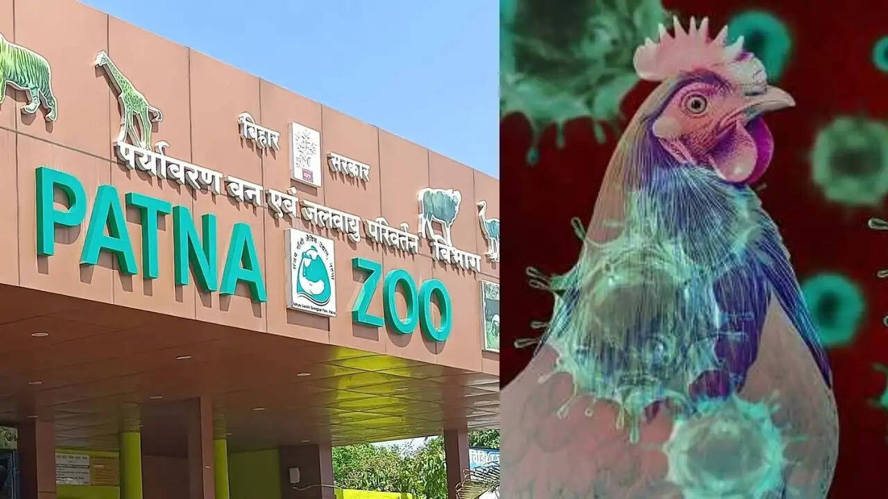 बिहार में बर्ड फ्लू के मामले: सरकार ने जारी की एडवाइजरी