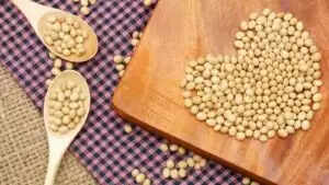 सोयाबीन के अद्भुत स्वास्थ्य लाभ: जानें कैसे करें इसका सेवन