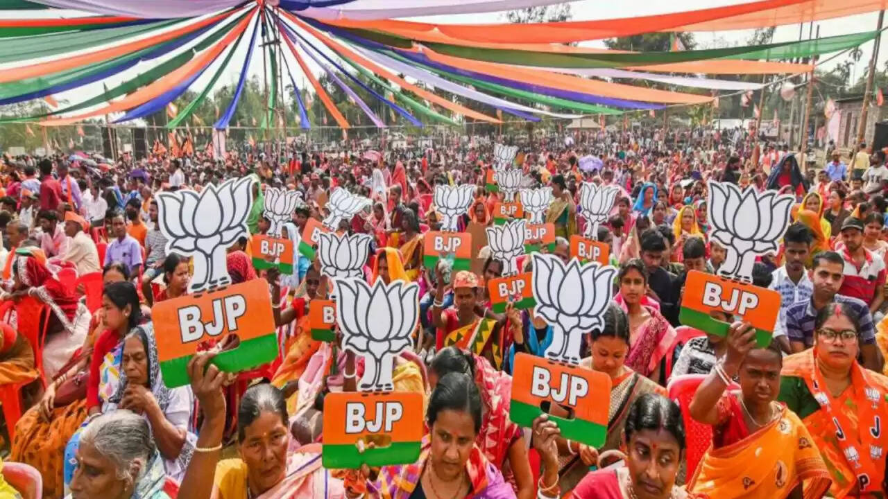 बिहार विधानसभा चुनाव में बीजेपी को मिली हार: मुस्लिम उम्मीदवारों ने मचाई धूम