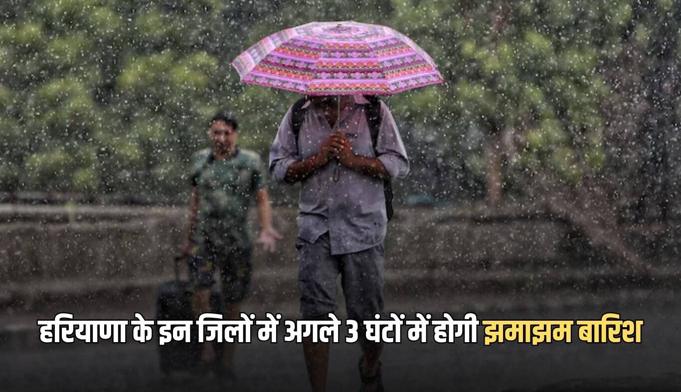 हरियाणा में मौसम में बदलाव: तेज हवाओं और बूंदाबांदी की संभावना
