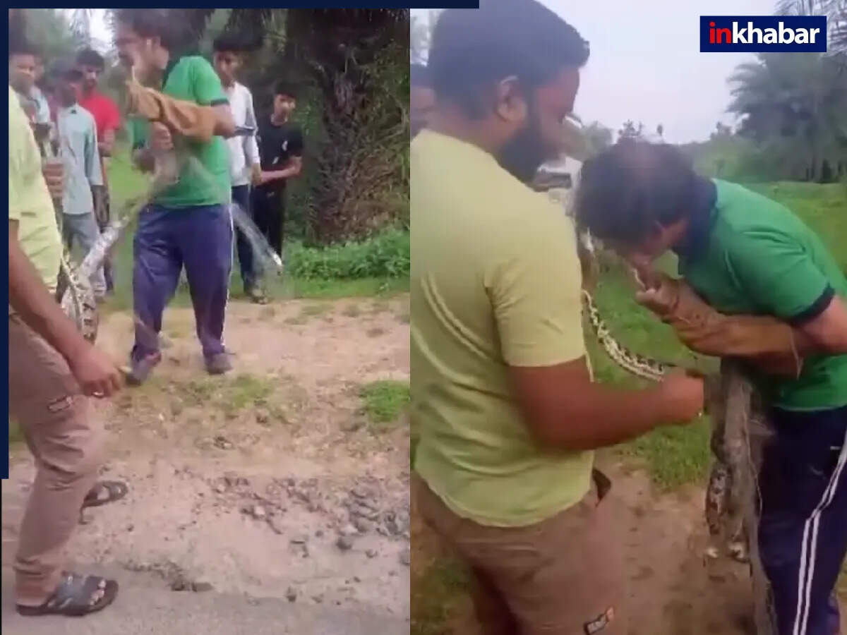 भयानक वीडियो: अजगर के हमले में साँप पकड़ने वाला व्यक्ति फंसा