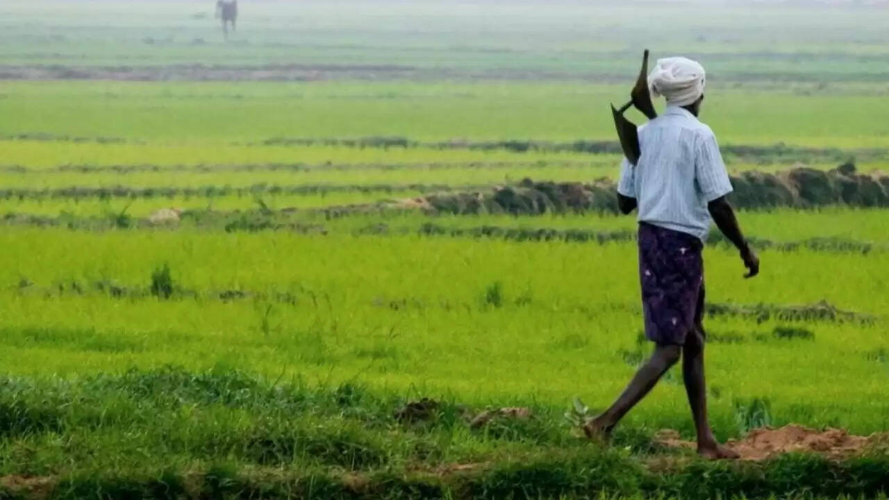 किसानों के लिए राहत: PM Kisan Yojana की 20वीं किस्त जल्द ही जारी होने की उम्मीद
