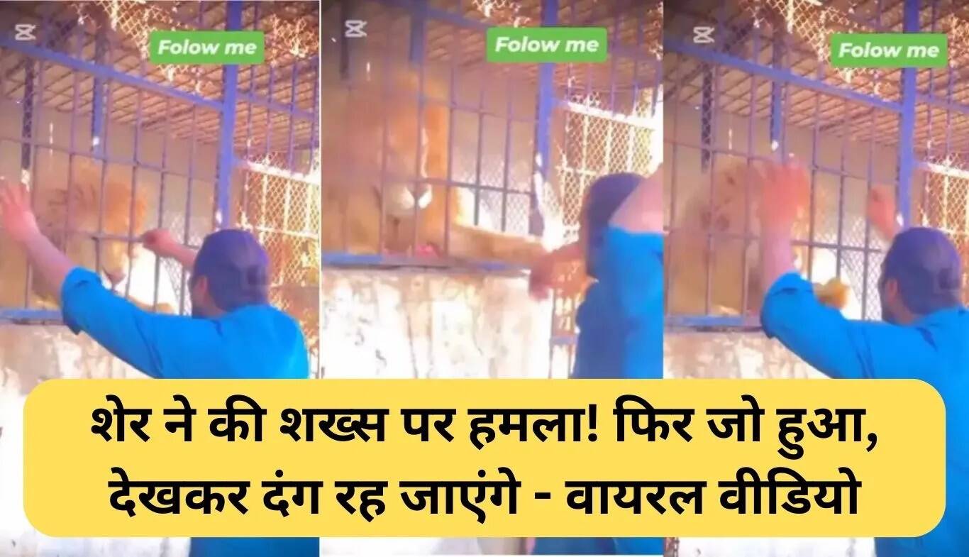 शेर के हमले का वायरल वीडियो: एक आदमी की बहादुरी ने मचाई खलबली