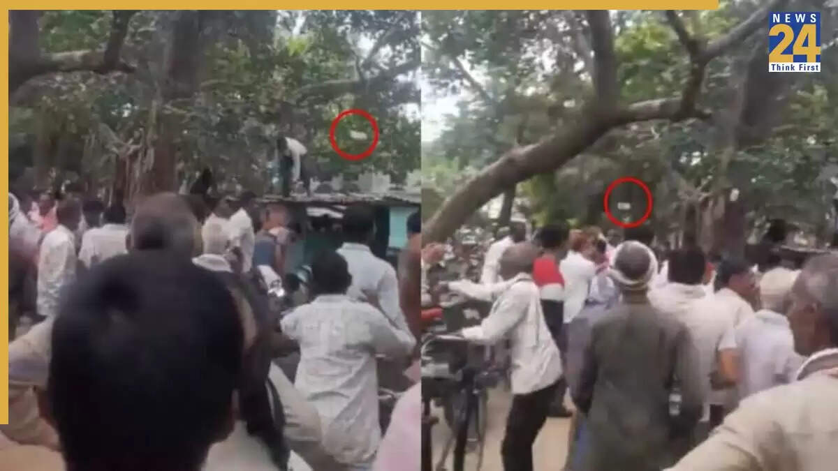 बंदर की हरकत से नोटों की बारिश, औरैया में मच गया हड़कंप