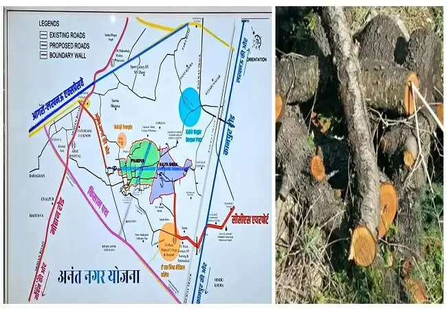 लखनऊ में अनंत नगर योजना के तहत 133 पेड़ों की कटाई का निर्णय