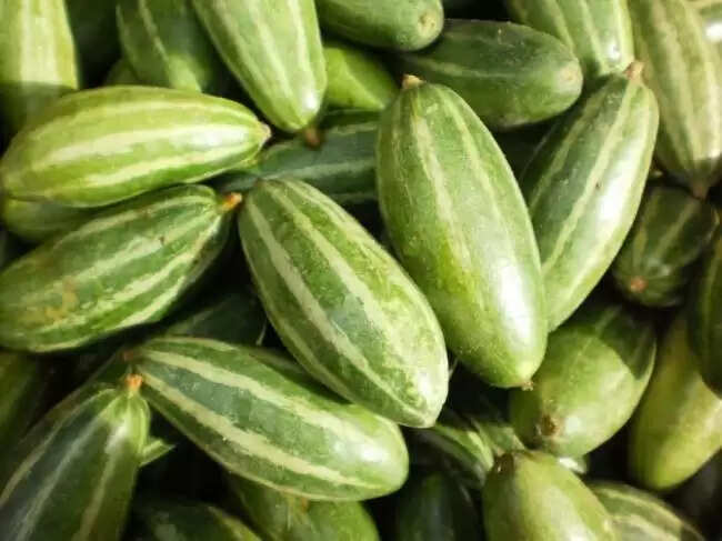 परवल: मोटापा कम करने और स्वास्थ्य के लिए फायदेमंद सब्जी