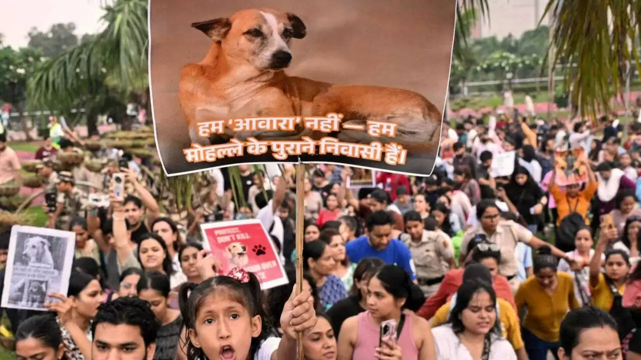 सुप्रीम कोर्ट का नया आदेश: आवारा कुत्तों के लिए दिशा-निर्देश में बदलाव