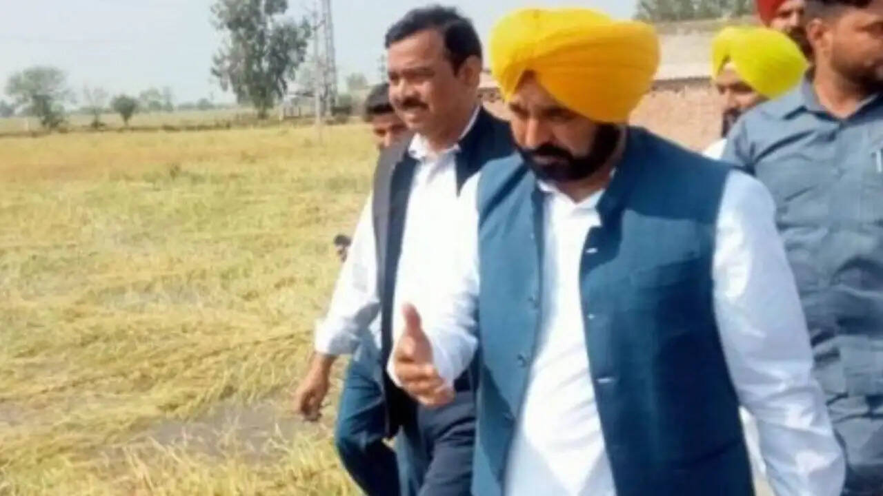 पंजाब में धान की खेती में नहरों के पानी का उपयोग बढ़ा
