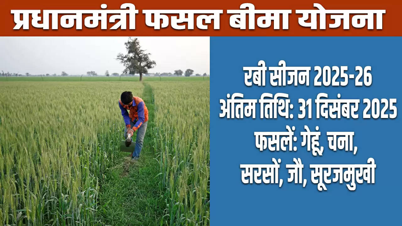 किसानों के लिए फसल बीमा योजना: रबी फसलों का बीमा 31 दिसंबर तक अनिवार्य