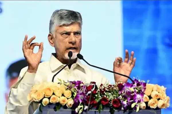 चंद्रबाबू नायडू ने पार्टी कार्यकर्ताओं को संगठन को मजबूत करने का दिया संदेश