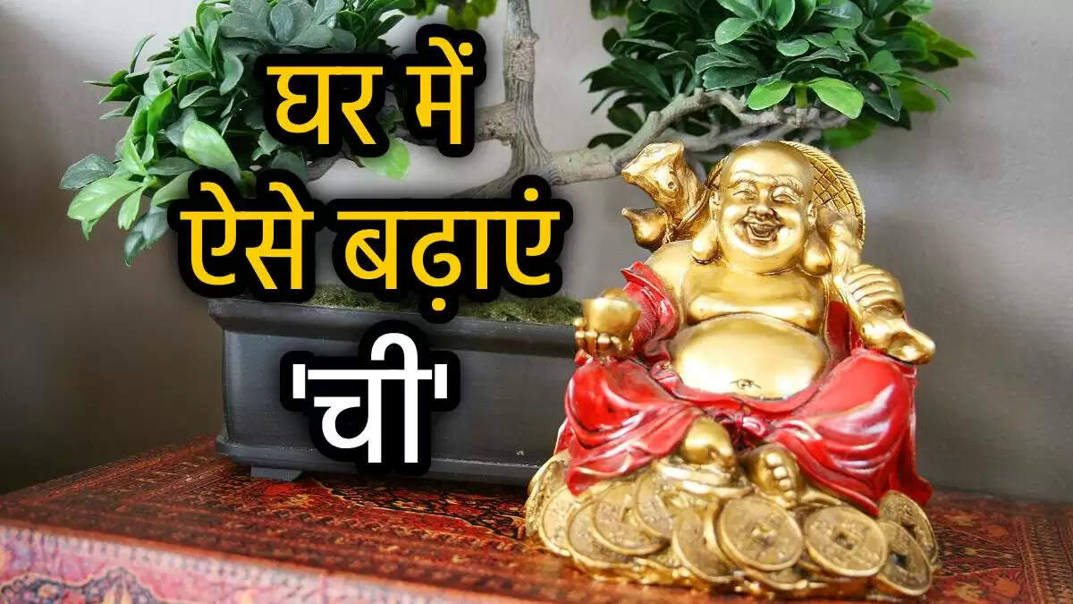 फेंगशुई के 5 अनमोल तत्व: घर में धन और खुशहाली लाने के उपाय