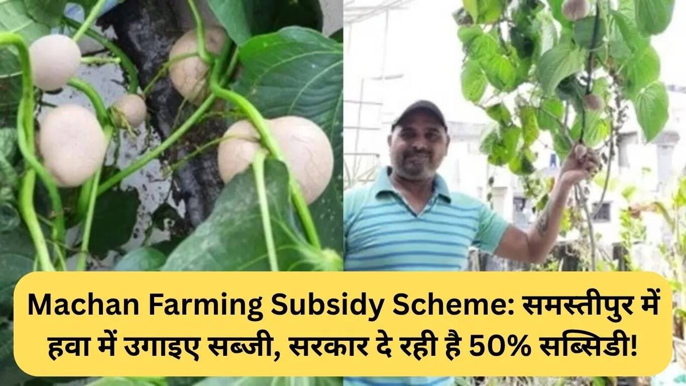 समस्तीपुर में मचान खेती योजना: सब्जियों की खेती में 50% सब्सिडी का लाभ उठाएं