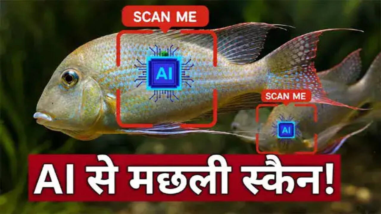 चीन में मछलियों की निगरानी के लिए AI का उपयोग, पर्यावरण पर प्रभाव