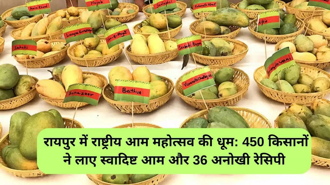 रायपुर में राष्ट्रीय आम महोत्सव: 450 किसानों ने पेश की आम की विविधता और अनोखी रेसिपी
