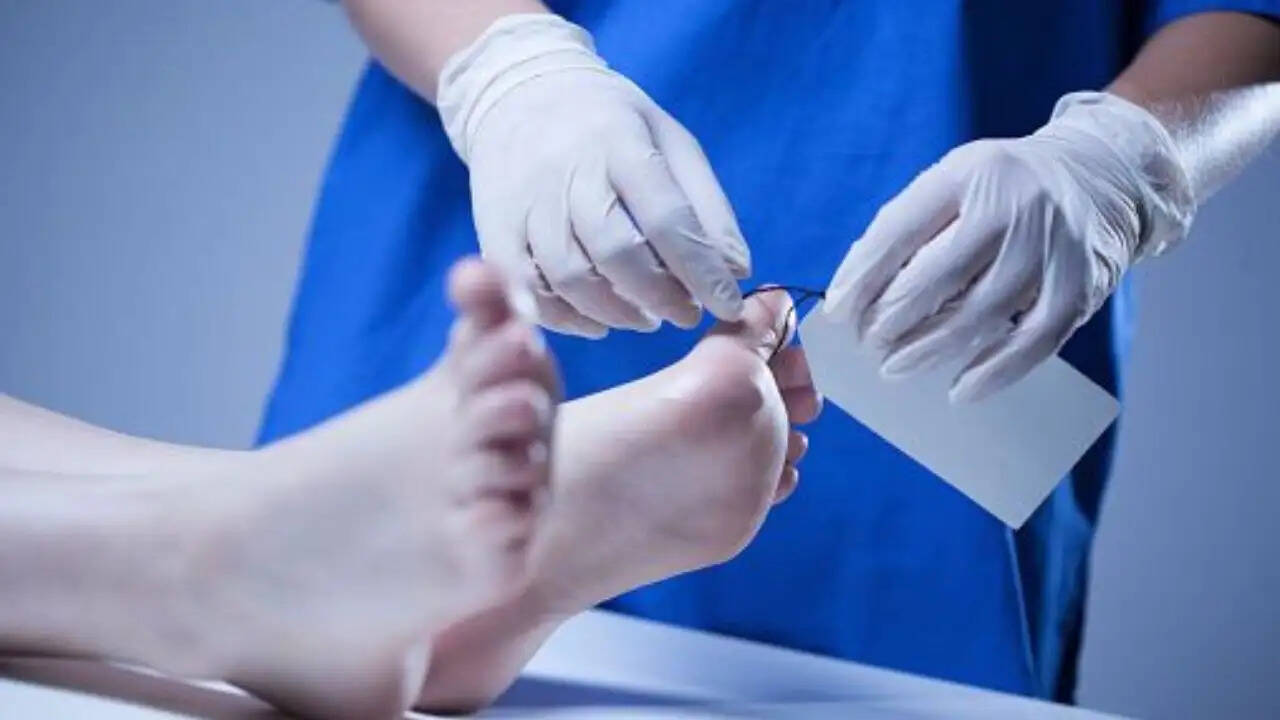 मऊगंज में महिला की हत्या से फैली दहशत, पुलिस जांच में जुटी