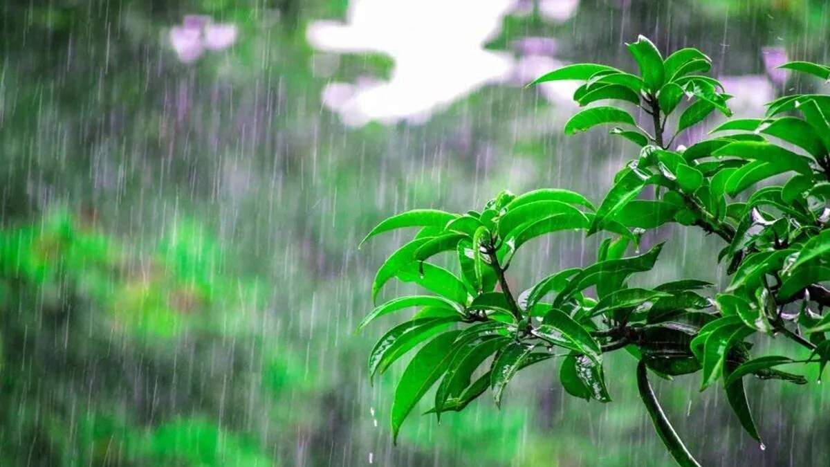 19 सितंबर का मौसम: कई राज्यों में बारिश और तेज हवाओं का अलर्ट