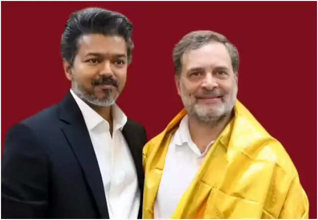 तमिलनाडु में राज्यसभा उपचुनाव: सीएम विजय ने कांग्रेस को दी सीट