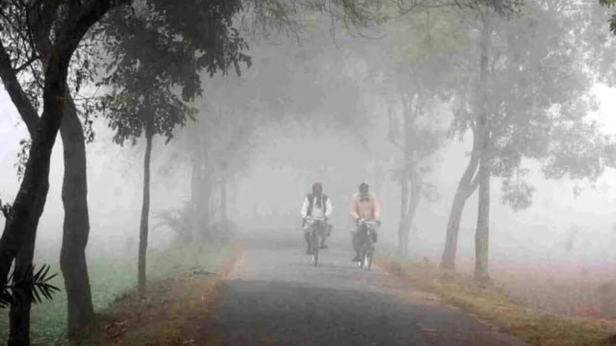 हरियाणा में मौसम का हाल: ठंड और धुंध का असर बढ़ा