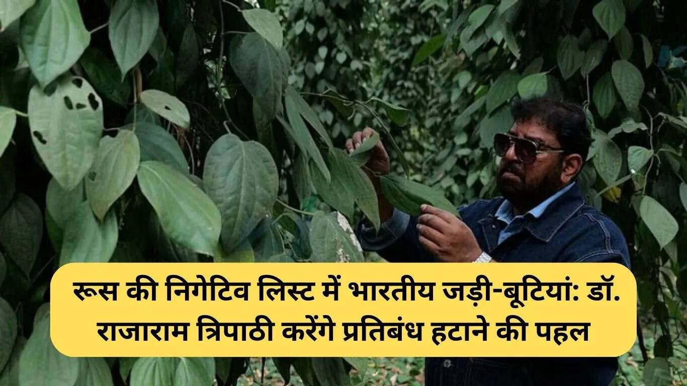 रूस में भारतीय जड़ी-बूटियों पर प्रतिबंध हटाने की पहल
