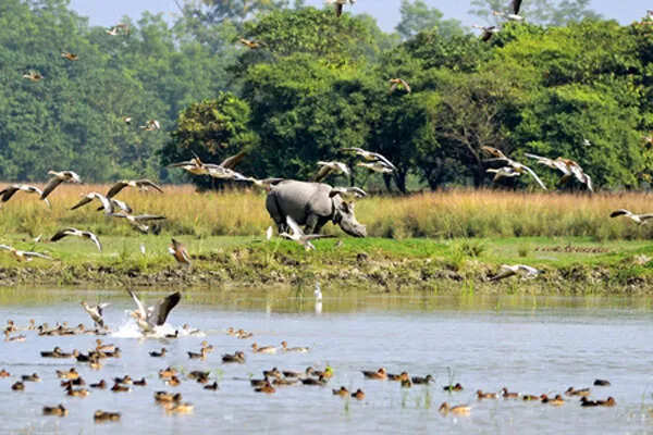 भारत में वन्यजीव सप्ताह: जैव विविधता की सुरक्षा का संदेश
