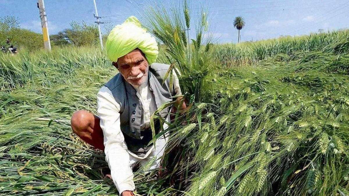 किसानों को फसल मुआवजे का इंतजार, बाढ़ से हुई भारी क्षति