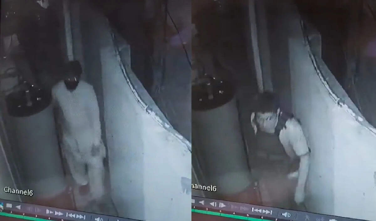इमरान खान के भतीजे की गिरफ्तारी: पंजाब पुलिस ने किया स्पष्ट