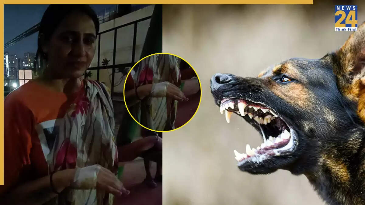 ग्रेटर नोएडा में आवारा कुत्तों का आतंक: महिला पर हमला