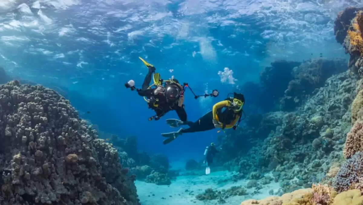 भारत में स्कूबा डाइविंग के बेहतरीन स्थान