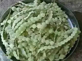 बबूल के पौधे के अद्भुत स्वास्थ्य लाभ