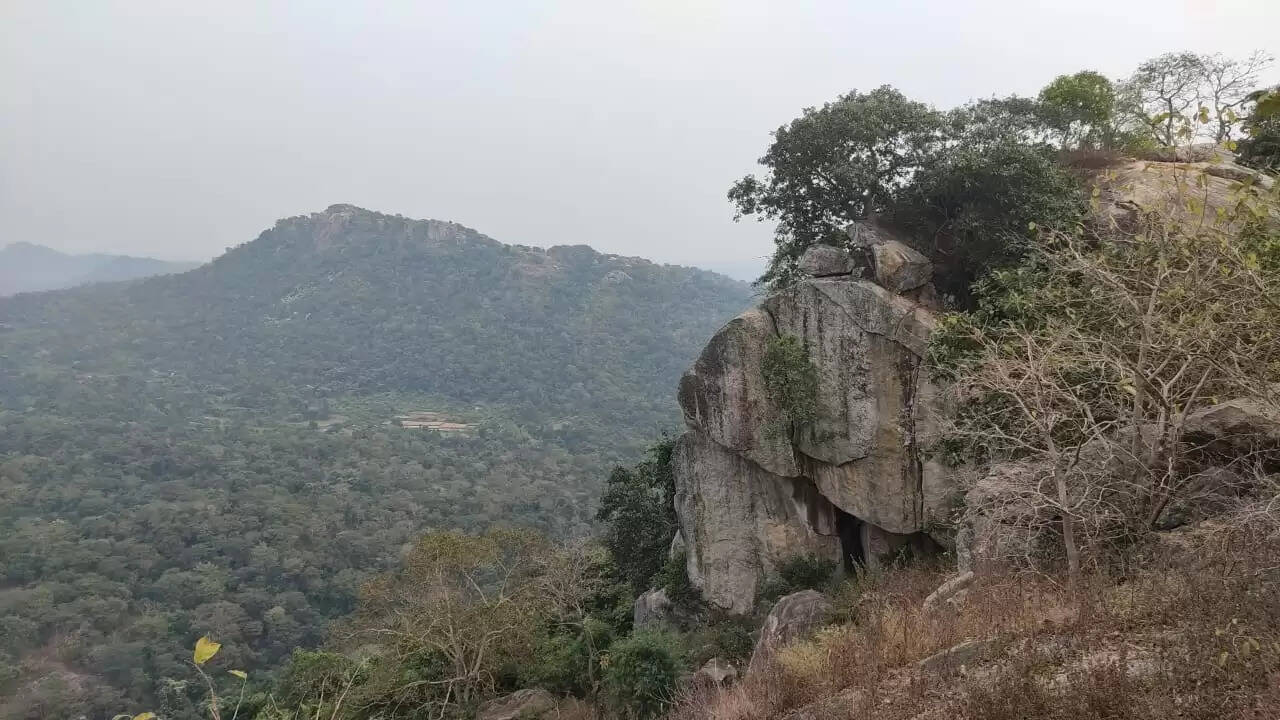 कुल और कोख की रक्षा करती है मां कौलेश्वरी, देश-विदेश से आते हैं श्रद्धालु