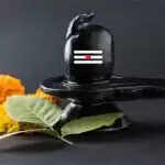 सोम प्रदोष व्रत: मनचाहा साथी पाने के लिए करें ये सरल उपाय