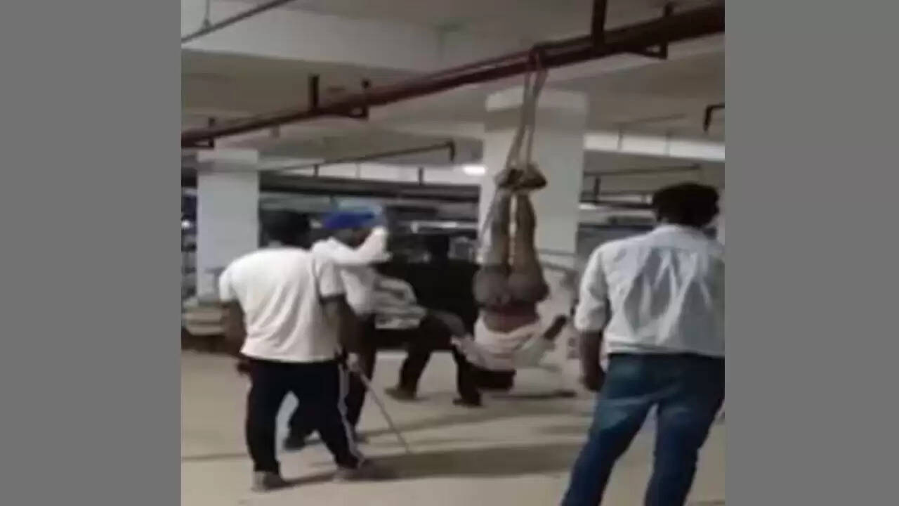 गुरुग्राम में मजदूर पर बर्बरता का वीडियो वायरल, पुलिस ने शुरू की जांच