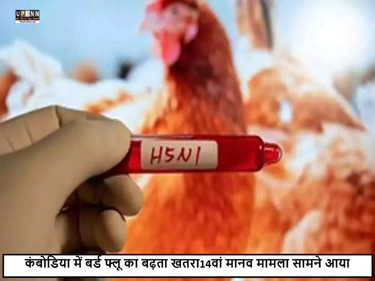 कंबोडिया में H5N1 बर्ड फ्लू का 14वां मानव मामला सामने आया
