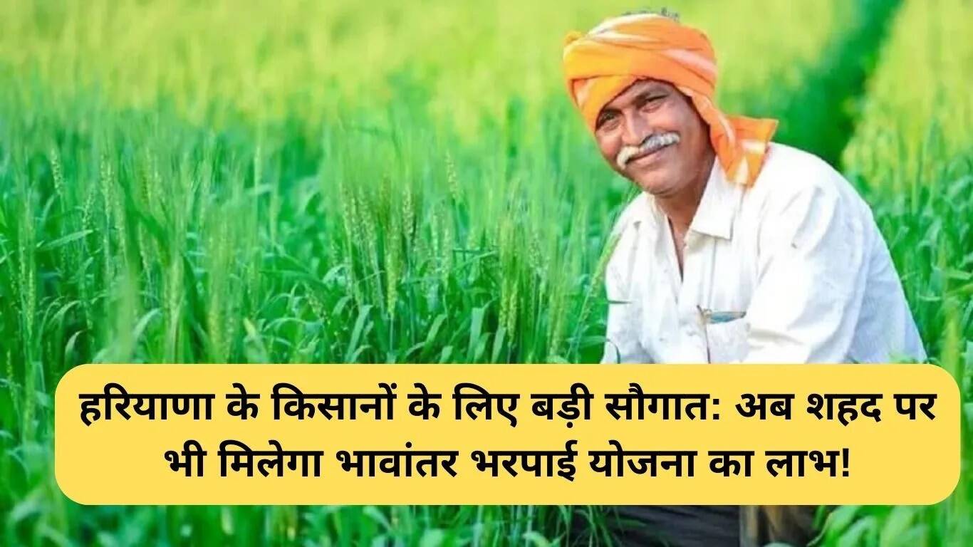 हरियाणा में मधुमक्खी पालन को मिली नई दिशा: किसानों के लिए लाभकारी योजनाएं