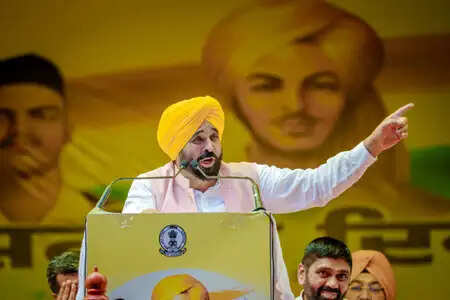 पंजाब के मुख्यमंत्री ने शहीदों की विरासत को संजोने की आवश्यकता पर जोर दिया