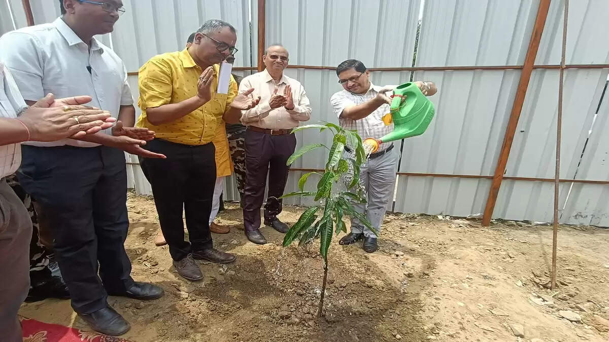 बिहार में विश्व पर्यावरण दिवस पर वृक्षारोपण का आयोजन