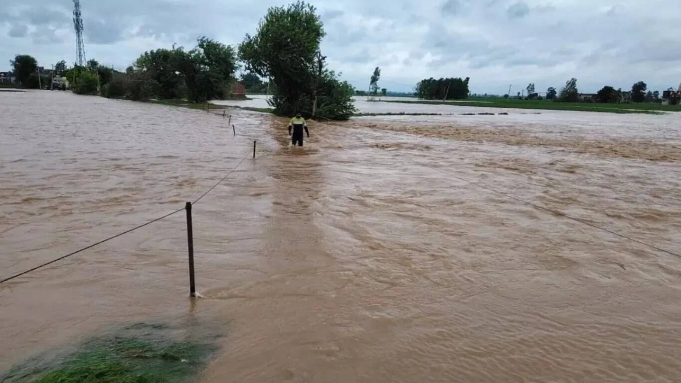 जाखल क्षेत्र में घग्गर नदी का जलस्तर बढ़ने से बाढ़ का खतरा