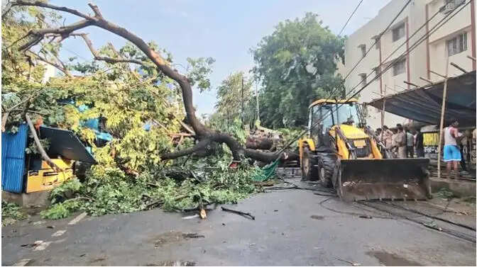 यूपी में आंधी-तूफान से 96 लोगों की मौत, मुख्यमंत्री ने राहत की घोषणा की