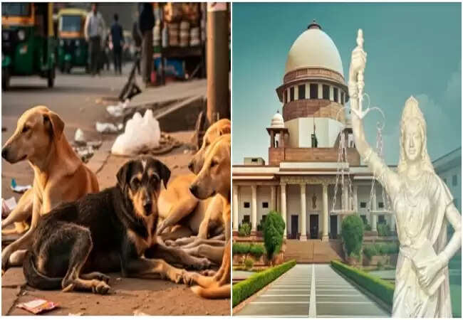 सुप्रीम कोर्ट ने आवारा कुत्तों के मामले में मुख्य सचिवों को पेश होने का दिया आदेश