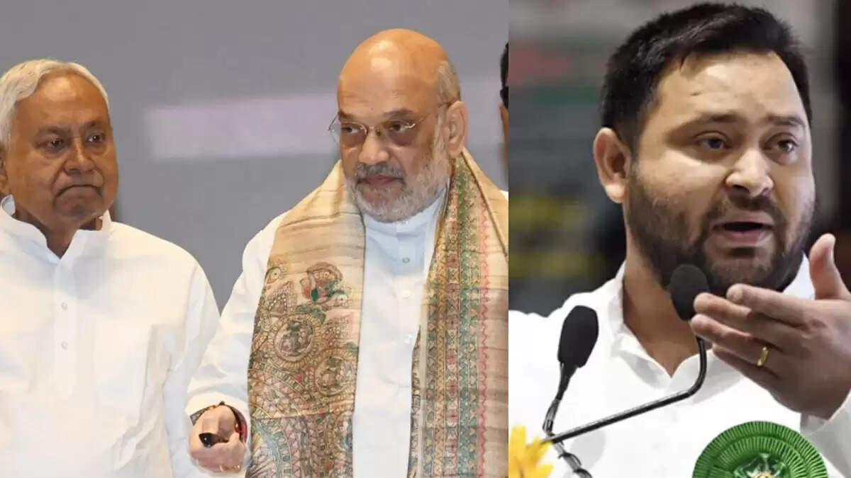 सीतामढ़ी में पूजा के दौरान नीतीश कुमार का असामान्य वाकया, तेजस्वी यादव ने उठाया सवाल