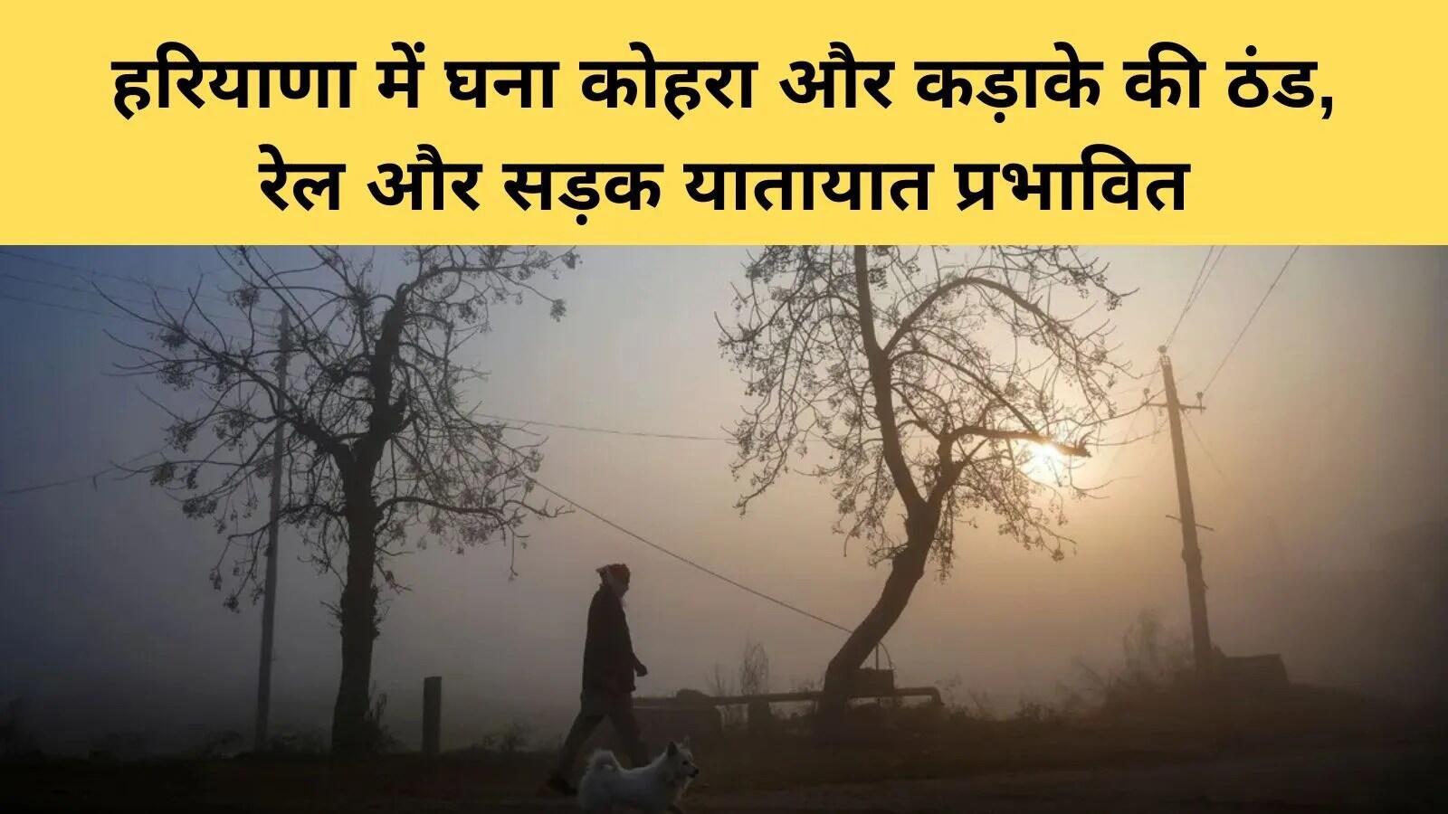 हरियाणा में सर्दी का कहर: कोहरे से प्रभावित यातायात और कृषि