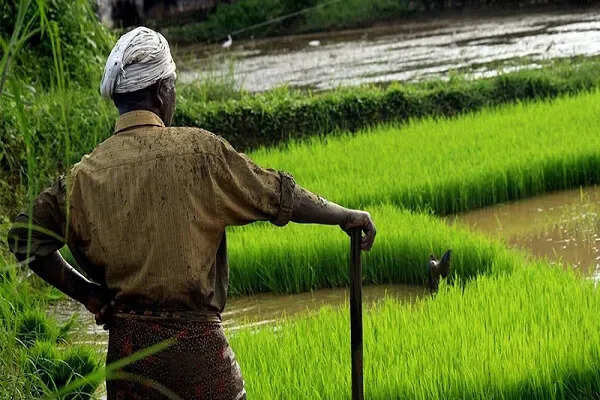 किसानों के समर्थन में केंद्र और राज्य सरकार की प्रतिबद्धता: सतीश चंद्र दूबे
