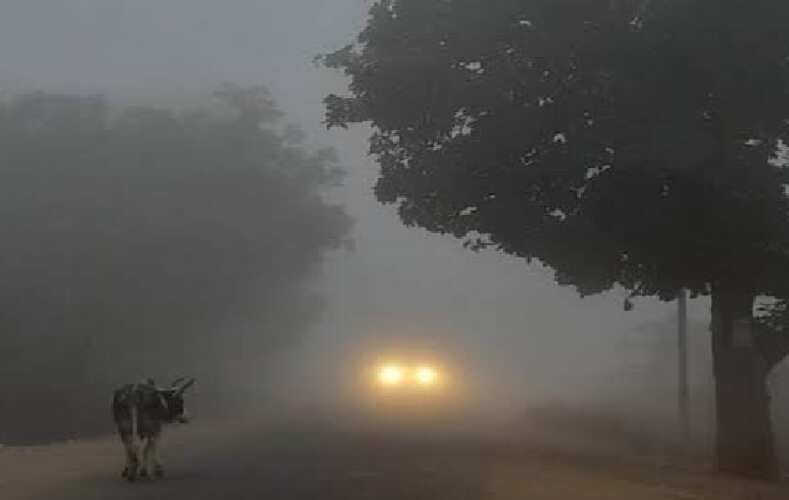 बंगाल में ठंड के साथ ही कोहरा बना मुश्किल का सबब