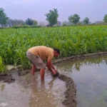 बारिश ने गर्मी से दी राहत, मौसम में आई ठंडक