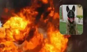 झारखंड में नक्सली विस्फोट से CRPF डॉग स्क्वाड के जवान घायल