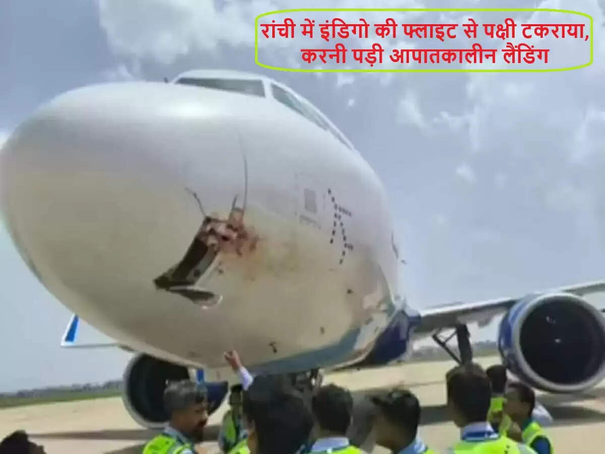 इंडिगो फ्लाइट की आपातकालीन लैंडिंग, पक्षी टकराने से हुआ हादसा