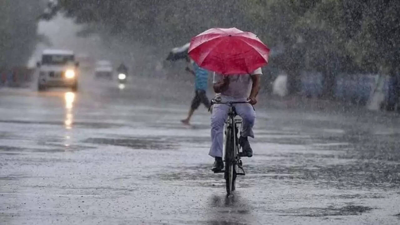 हरियाणा में मानसून का जोर: बारिश का दौर जारी