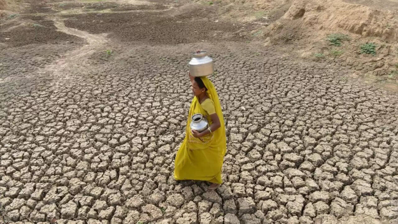 देवरिया में सूखे का संकट: 87 प्रतिशत कम बारिश से किसान परेशान