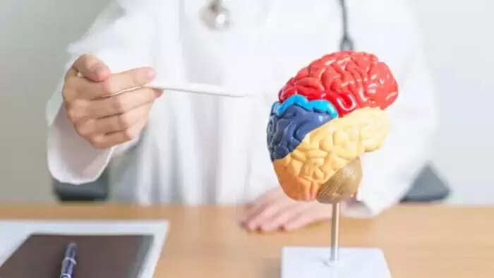 दिमागी क्षमता बढ़ाने के लिए अपनाएं ये सरल उपाय