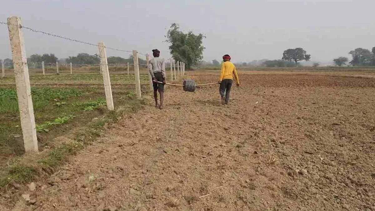 हरियाणा में भूमि पैमाइश के लिए नई तकनीक का उपयोग, पारदर्शिता बढ़ाने का प्रयास